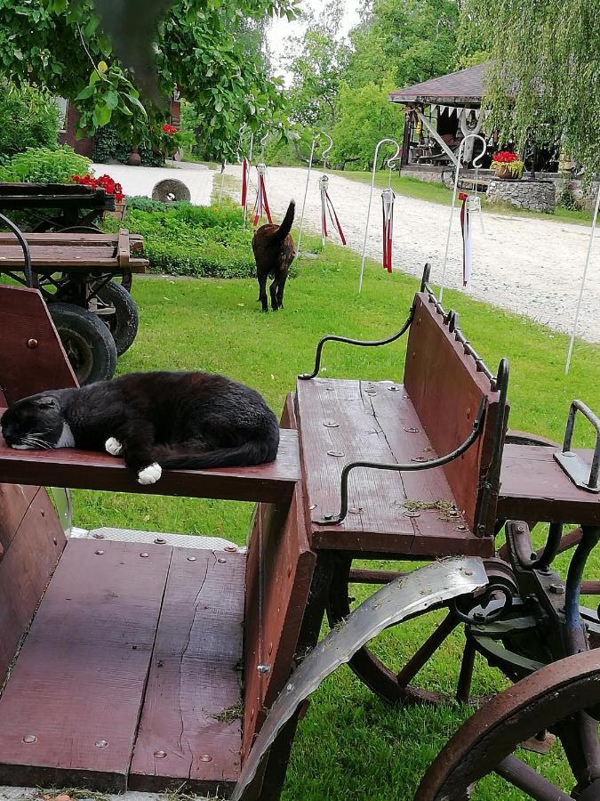 Hotel Kucuru Dzirnavas Lautere Zewnętrze zdjęcie